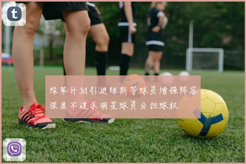 绿军计划引进琼斯等球员增强阵容深度不追求明星球员分担球权