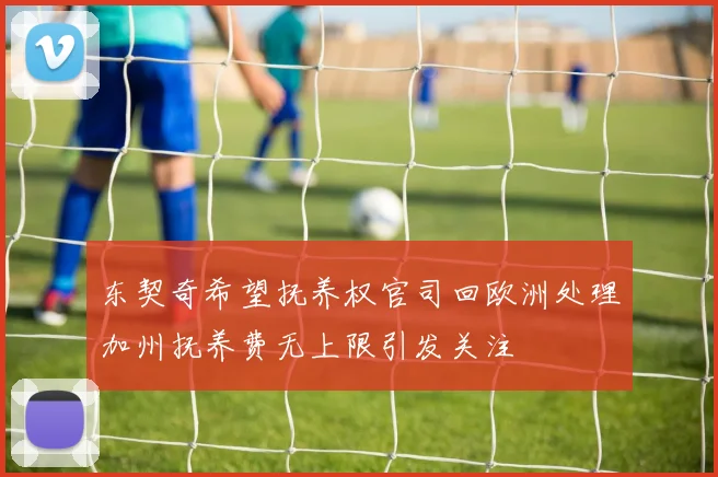 东契奇希望抚养权官司回欧洲处理加州抚养费无上限引发关注