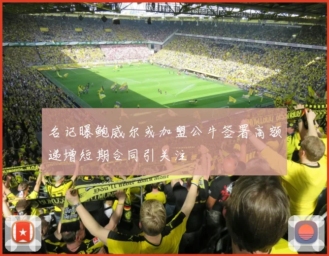 名记曝鲍威尔或加盟公牛签署高额递增短期合同引关注